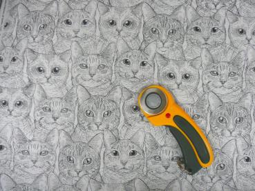Cat Faces - Katzengesichter