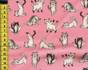Yogakatzen auf rosa