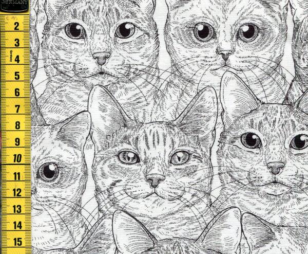 Cat Faces - Katzengesichter