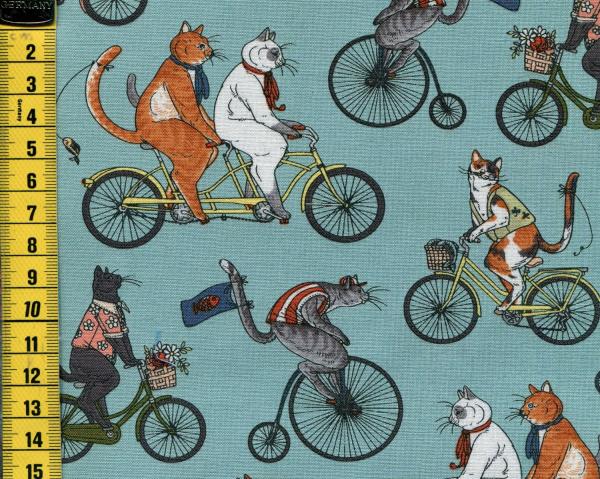 Cat Tales - Bicycle Race - Katzen und Fahrräder